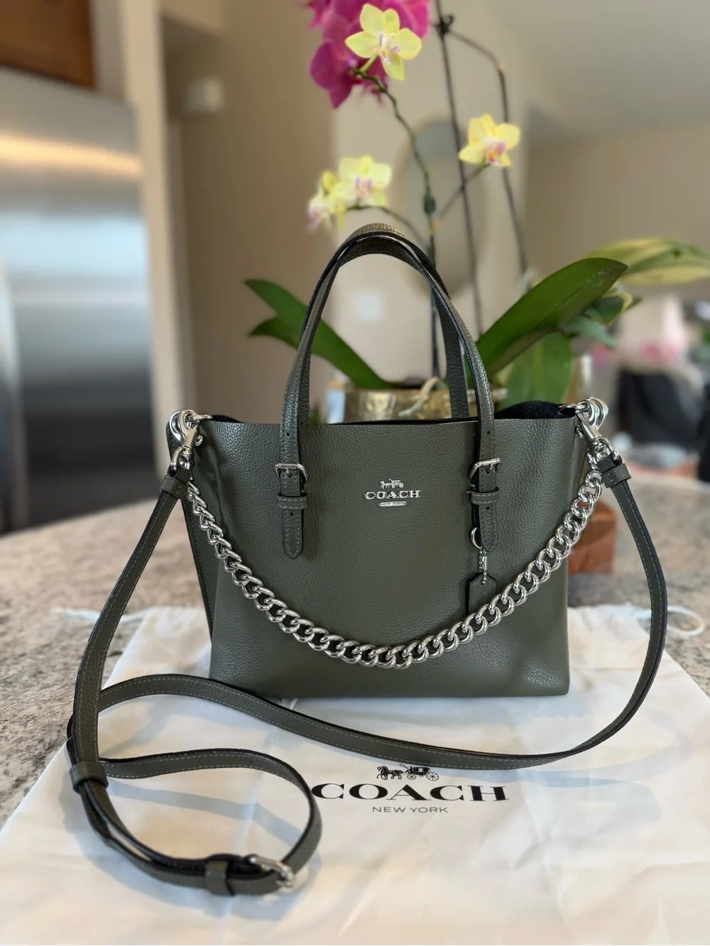 Coach Mollie Tote 25 Military Green Leather Crossbody Bag Style C4084